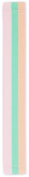 Pastel Striped Elastic Watch Band