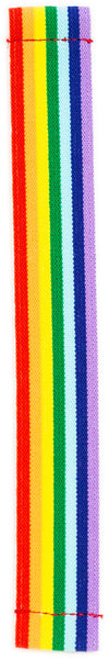 Light Rainbow Pride Elastic Watch Band